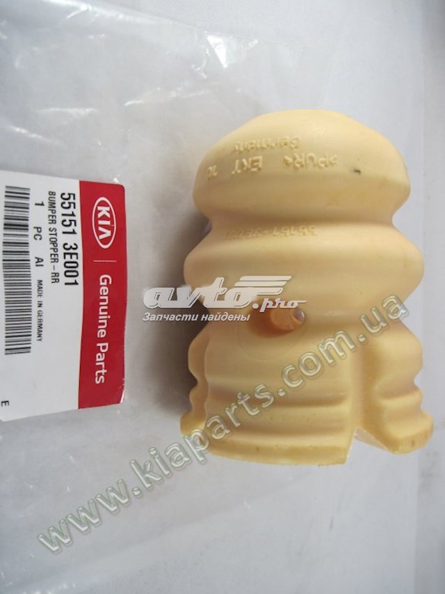 551513E001.jpg