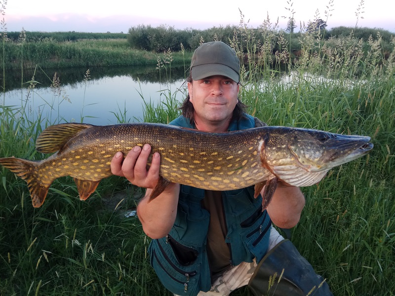 Biebrza 02.06.2018.jpg