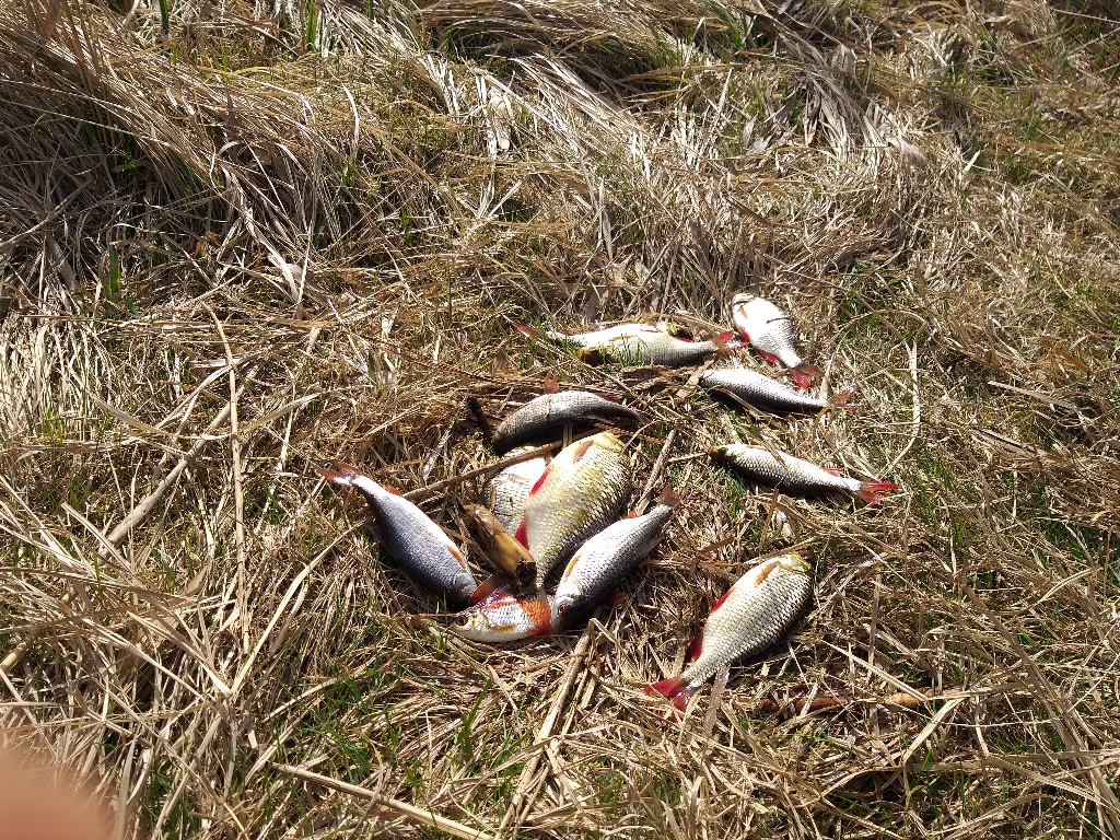 20190324_112853_1024x768.jpg