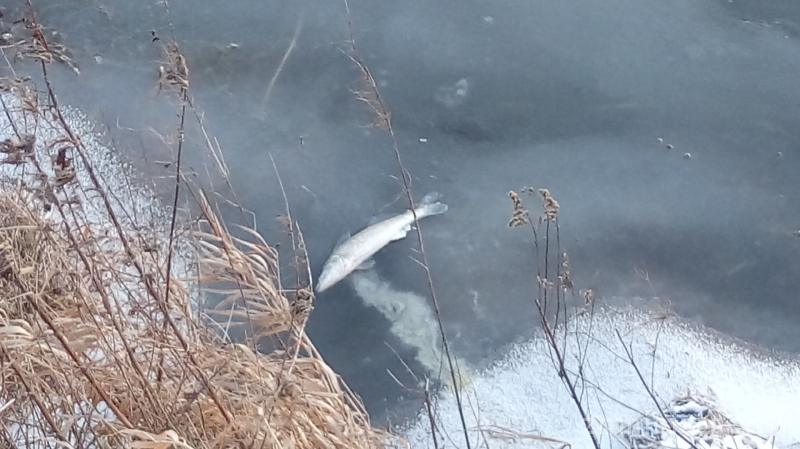 20170106_151728.jpg